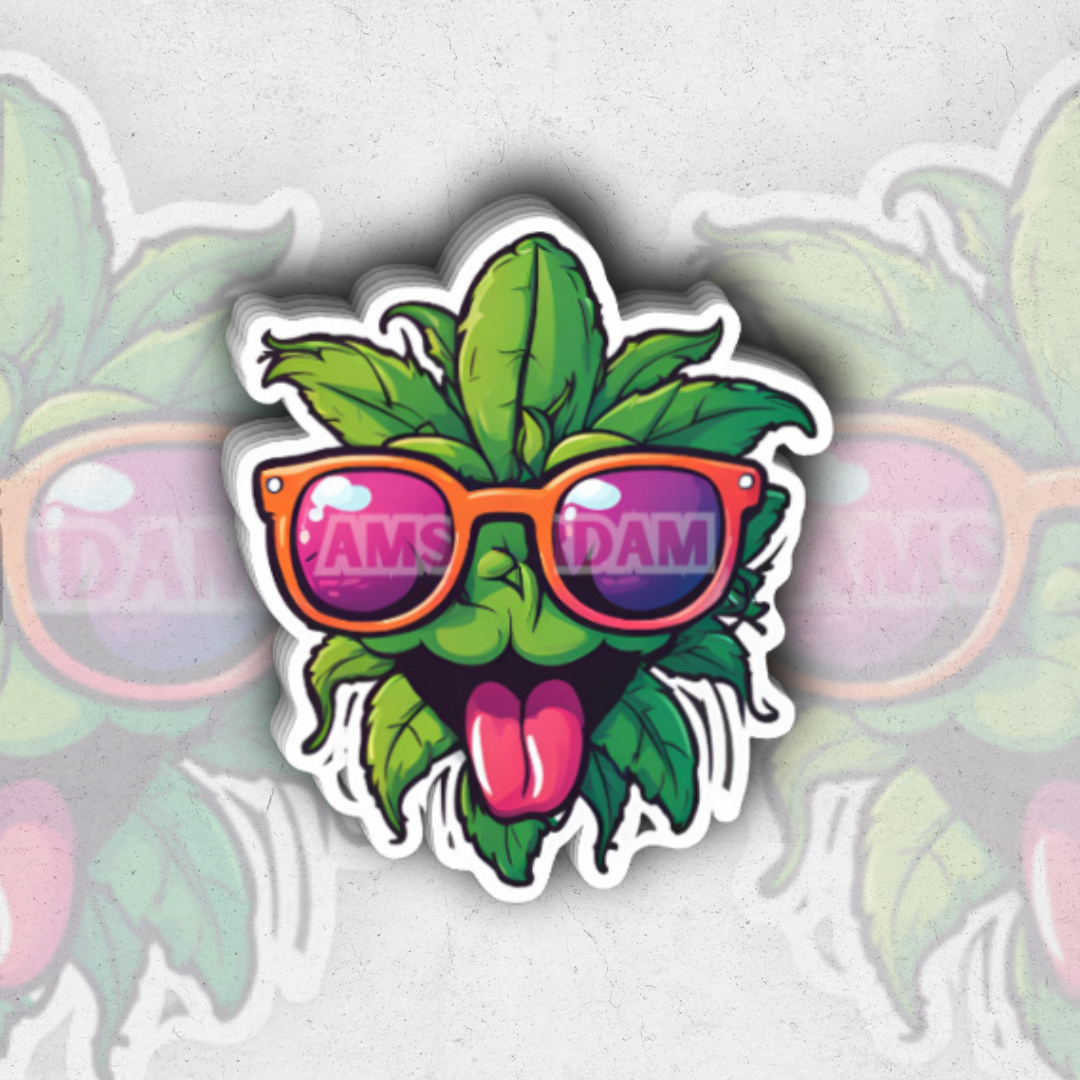 Amsterdam (Sk Exclusive) - glossy vinyl sticker